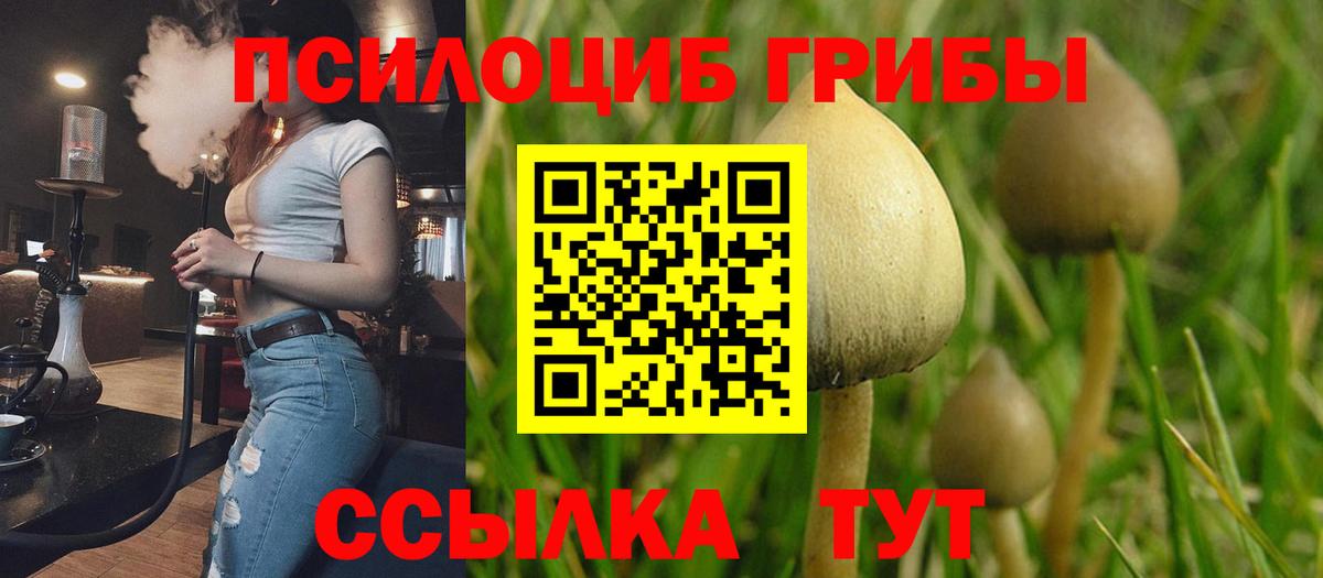 Галлюциногенные грибы MAGIC MUSHROOMS Ейск