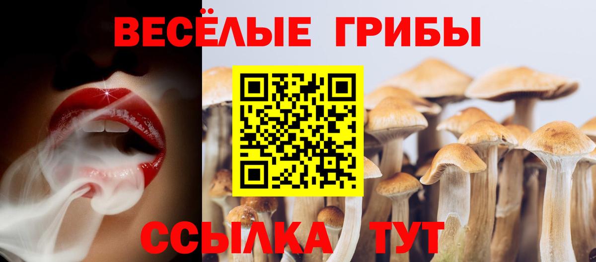 Псилоцибиновые грибы прущие грибы  Вход с VPN  Псилоцибиновые грибы прущие грибы  Ейск 